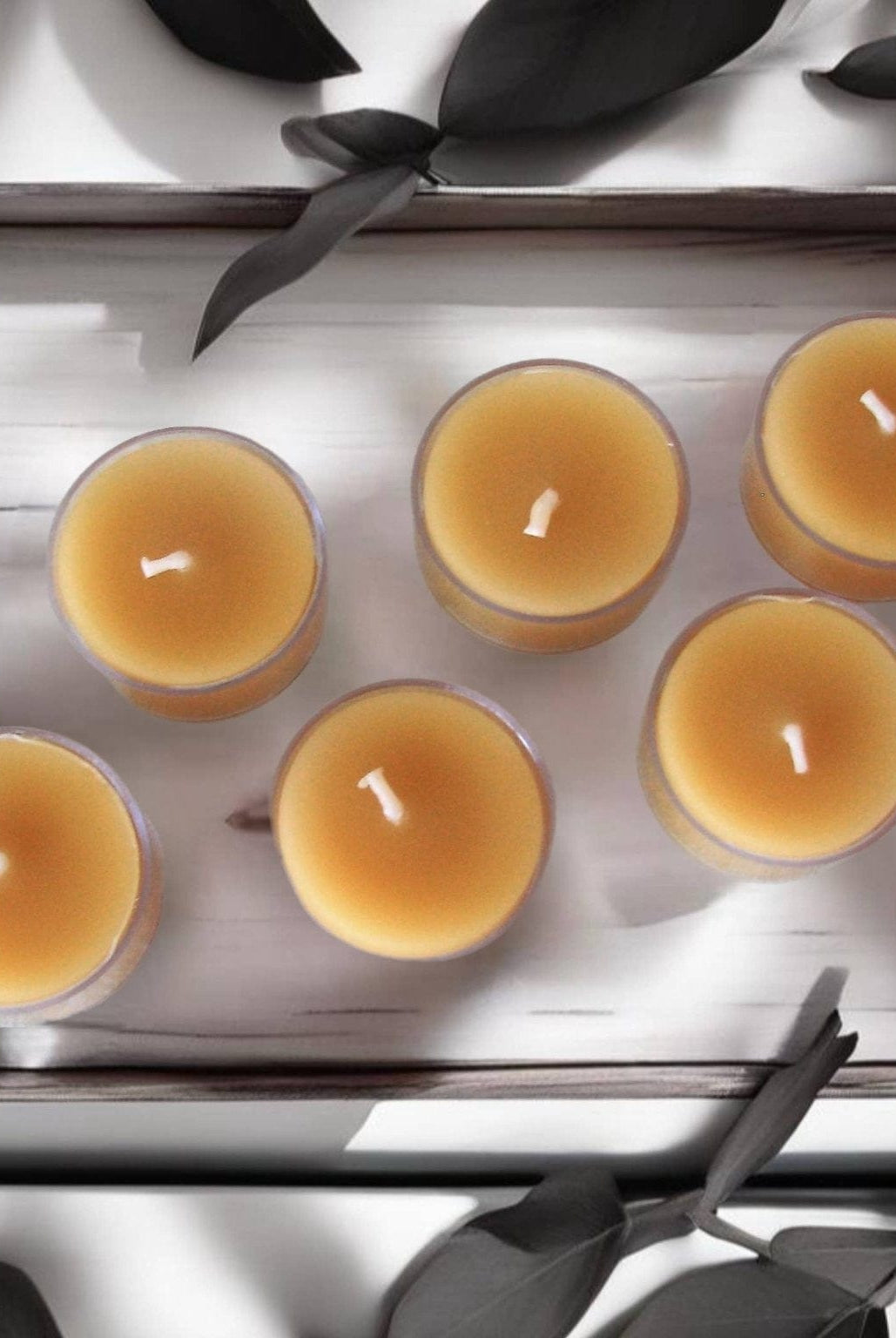 Serenes Beeswax Chandlery Homeware Beeswax Tea Light Candles | Box of 6