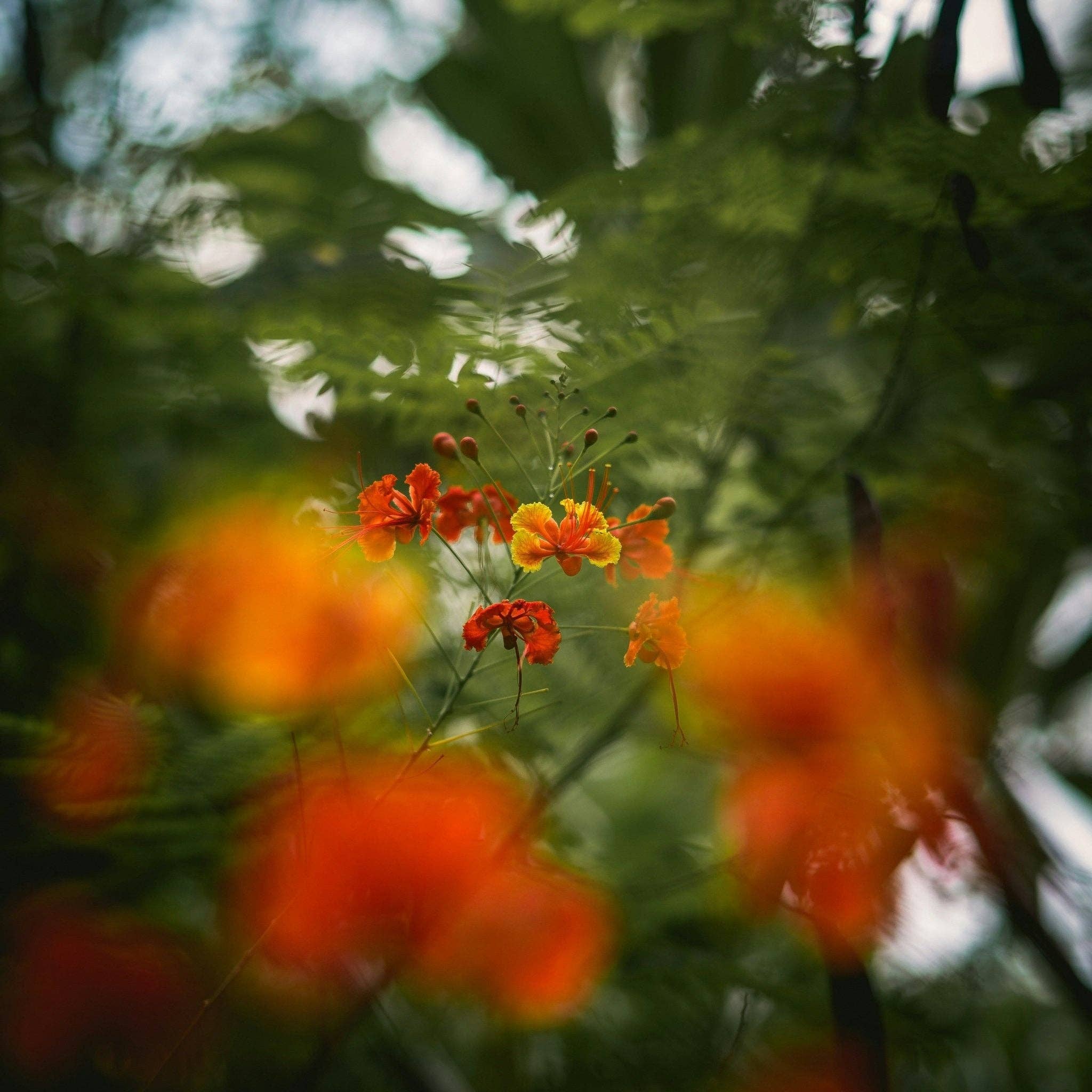 Three More Days Collection Homeware Glow Bath Soak