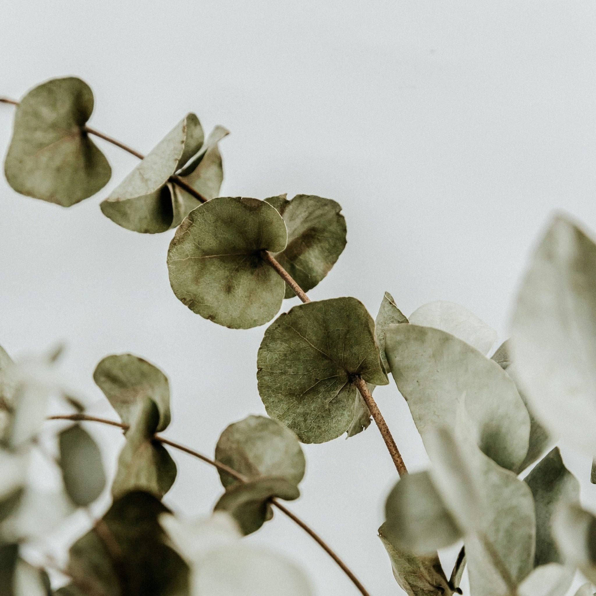 Three More Days Collection Homeware Purify Bath Soak