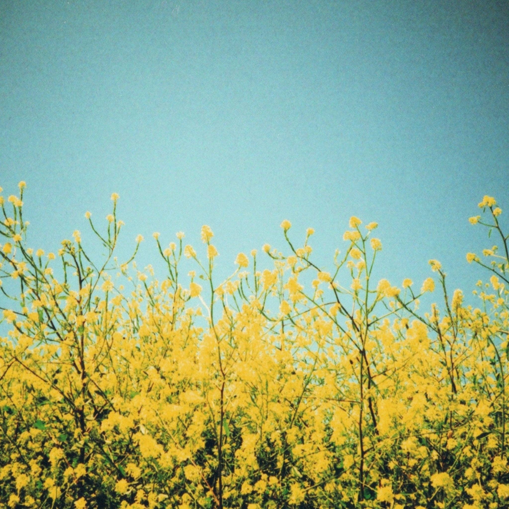 Three More Days Collection Homeware Restore Bath Soak