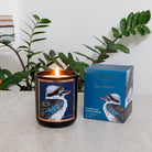 Buy 50+hrs Australian artist soy candle - Australian Sandalwood by Aroma Pot - at Hamish & Grace