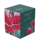 Buy 50+hrs Australian artist soy candle - Spiced Ginger by Aroma Pot - at Hamish & Grace