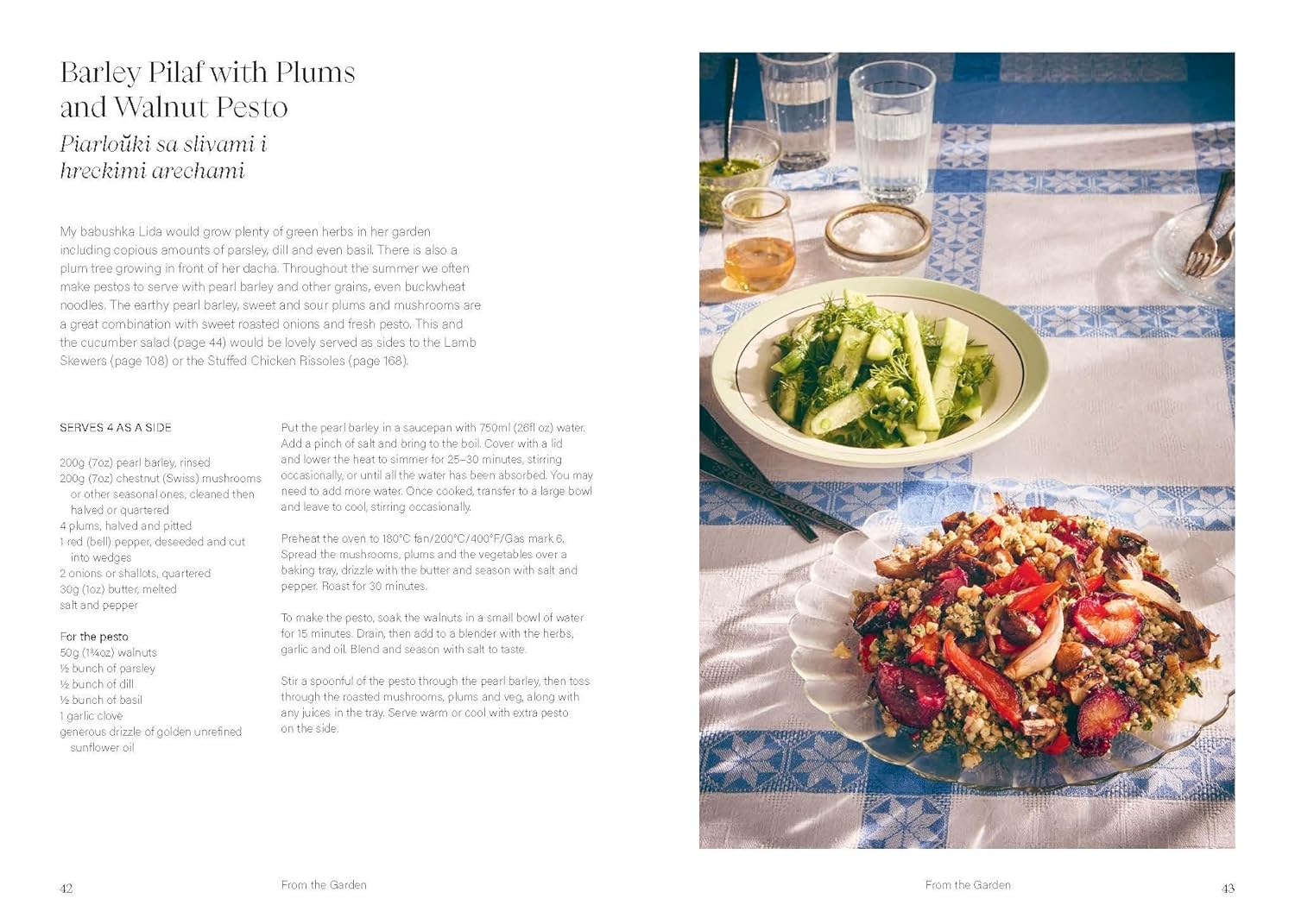 Buy Anastasia Zolotarev - Sour Cherries and Sunflowers: A Taste of Home | Recipes from Eastern Europe and Beyond by Hardie Grant - at Hamish + Grace