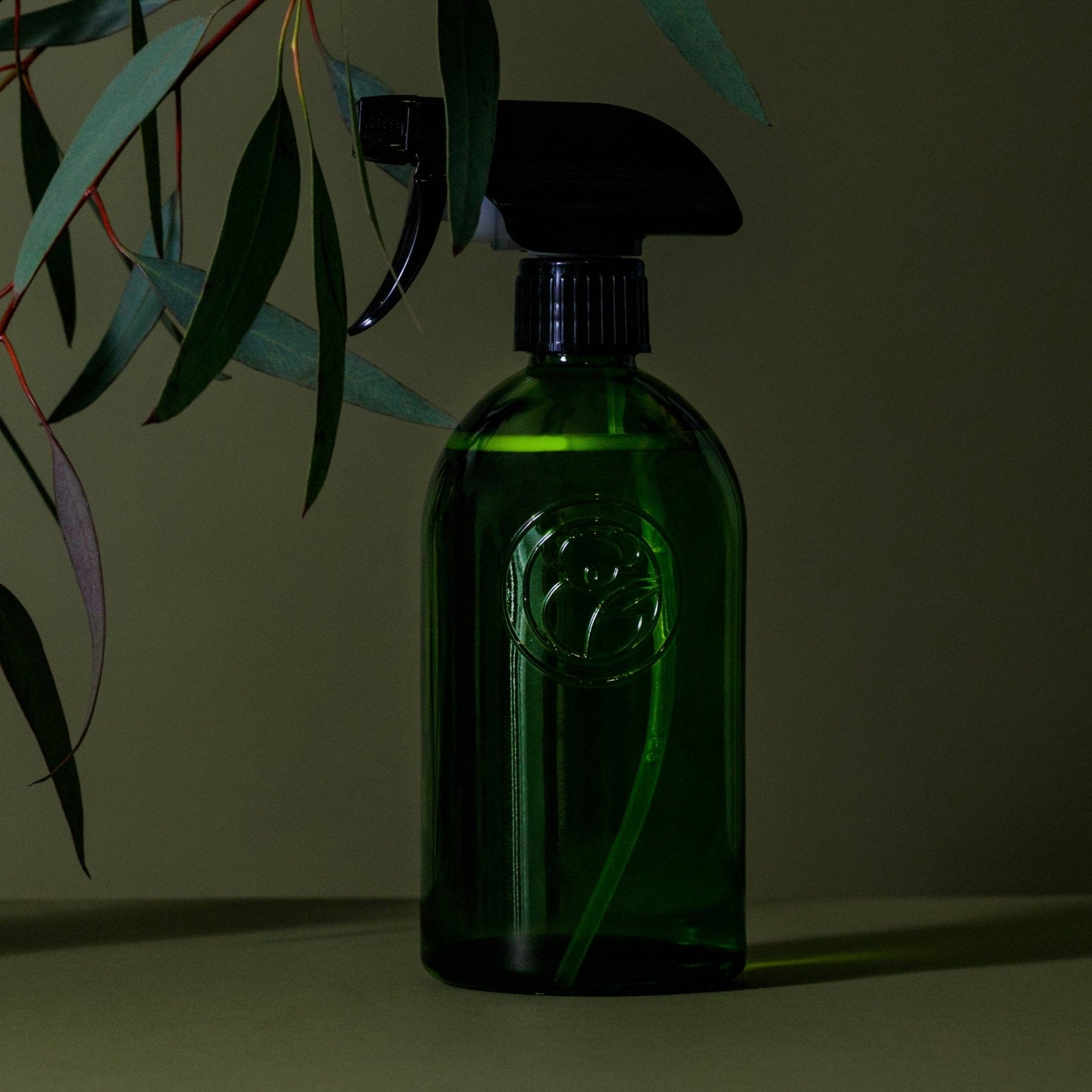 Buy Apothecary Glass Bottle by KOALA ECO - at Hamish + Grace