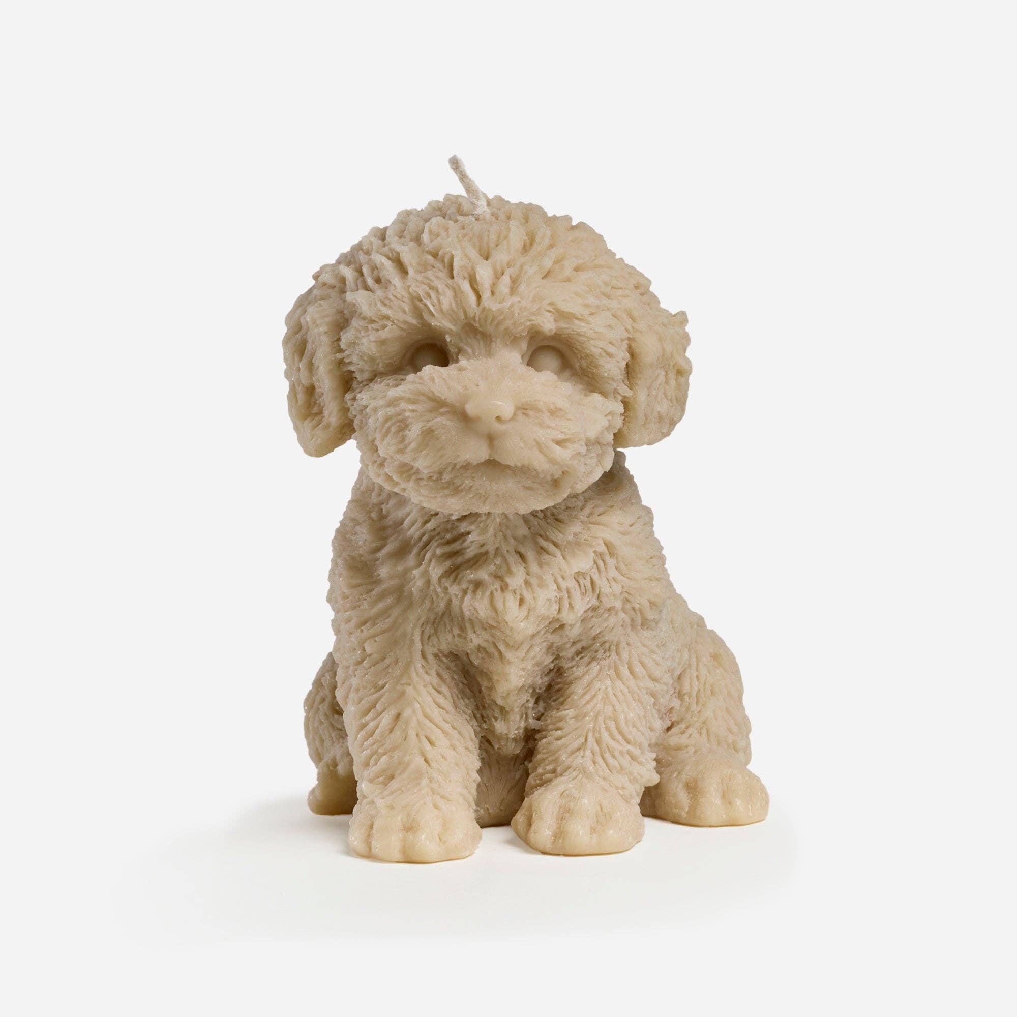 Buy Australian Made Beeswax Blend | Cavoodle candle (Blonde): Blonde by Love Ally - at Hamish + Grace