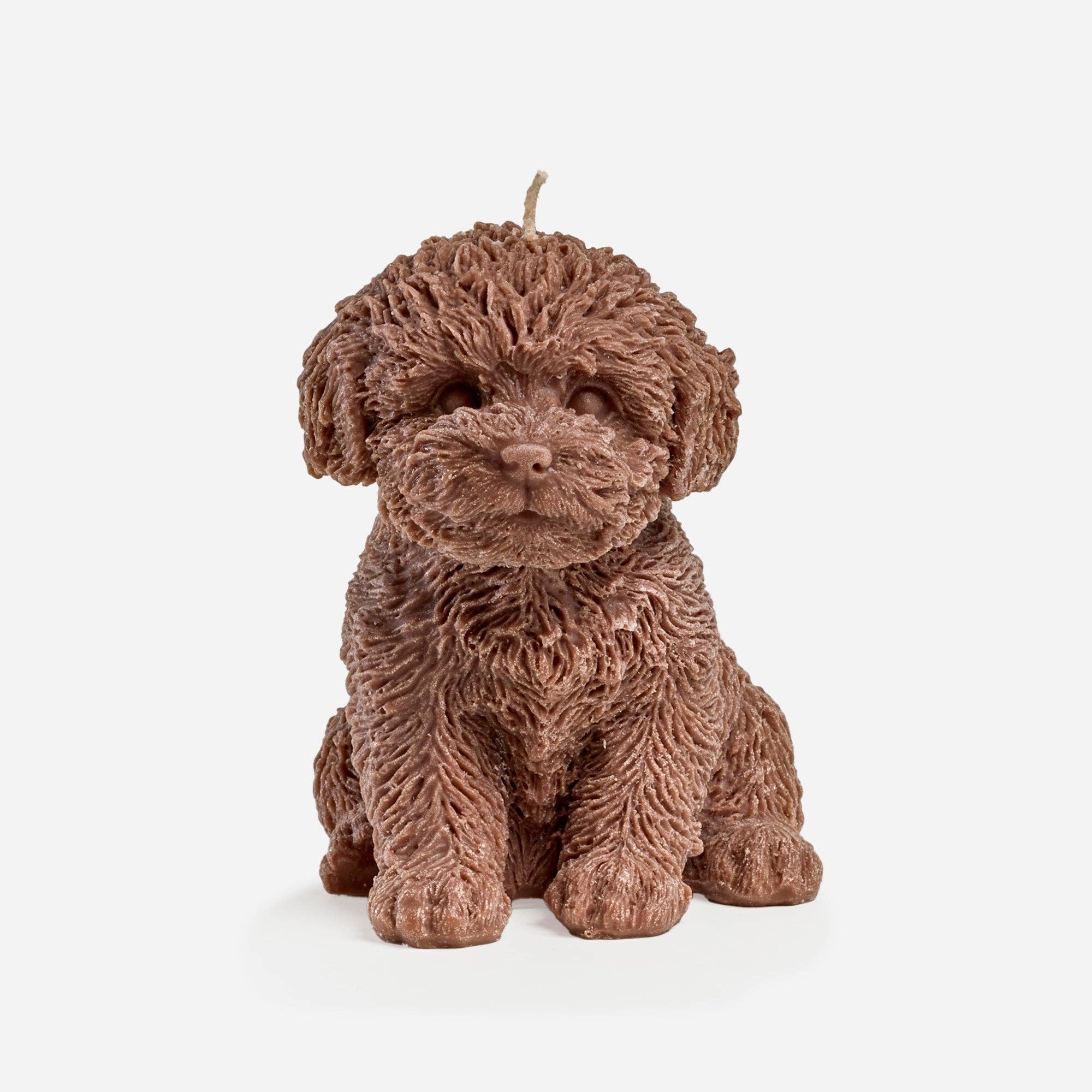 Buy Australian Made Beeswax Blend | Cavoodle candle (Blonde): Tan by Love Ally - at Hamish + Grace