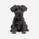 Buy Australian Made Beeswax Blend | Schnauzer Candle by Love Ally - at Hamish + Grace