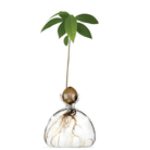 Buy Avocado Vase by Ilex Studio - Clear by Ilex Studio - at Hamish + Grace
