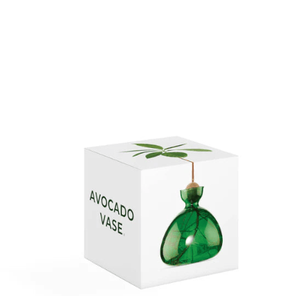 Buy Avocado Vase by Ilex Studio - Emerald Green by Ilex Studio - at Hamish + Grace