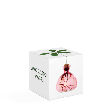 Buy Avocado Vase by Ilex Studio - Pink by Hamish + Grace - at Hamish + Grace