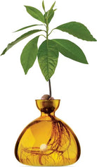 Buy Avocado Vase by Ilex Studio - Sunlight yellow by Ilex Studio - at Hamish + Grace