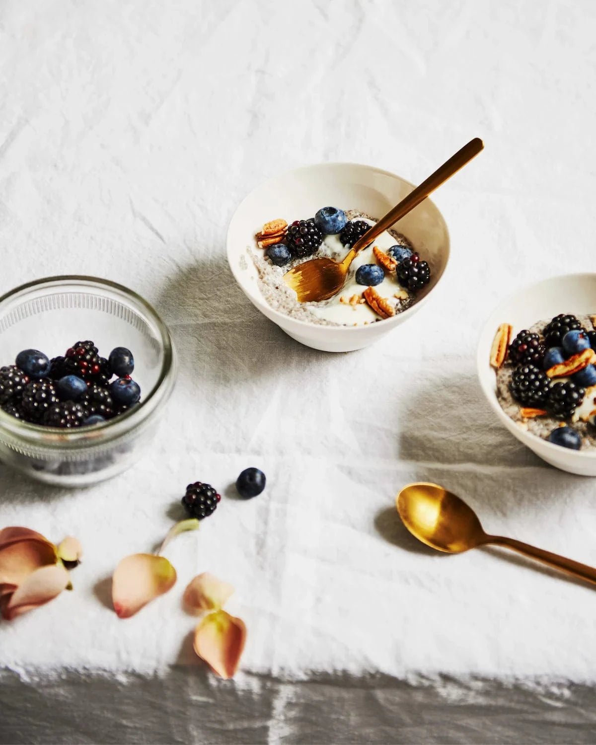 Buy Carla Oates - The Beauty Chef Gut Guide by Hardie Grant - at Hamish + Grace