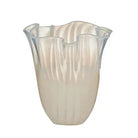 Coast to Coast Homeware Coast To Coast - Francine Glass Vase 21x22cm Clear/Ivory