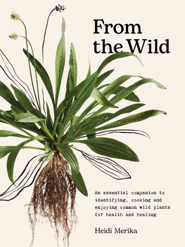 Buy Heidi Merika - From the Wild: An Essential Companion to Identifying, Cooking and Enjoying Common Wild Plants for Health and Healing by Hardie Grant - at Hamish + Grace