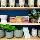 Home Dweller Homewares Felt Flower Fresheners - Blue Cypress & Jasmine