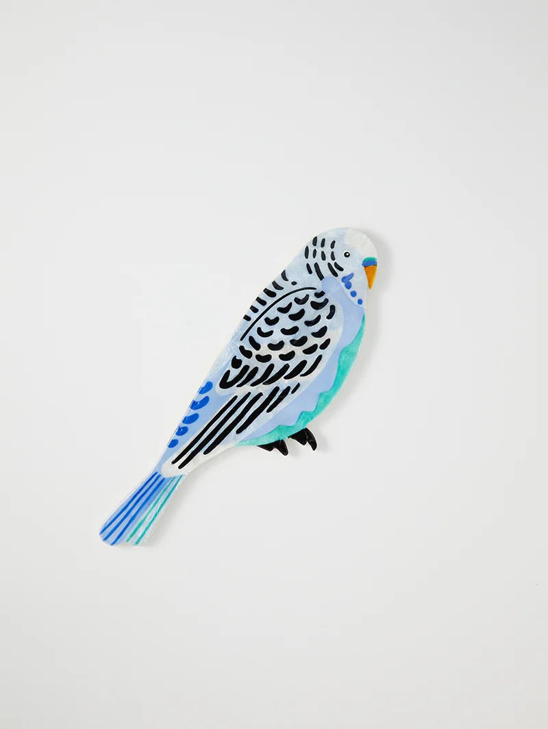 Buy Jones and Co - Aerial Budgie Wall Art by Jones & Co - at Hamish & Grace