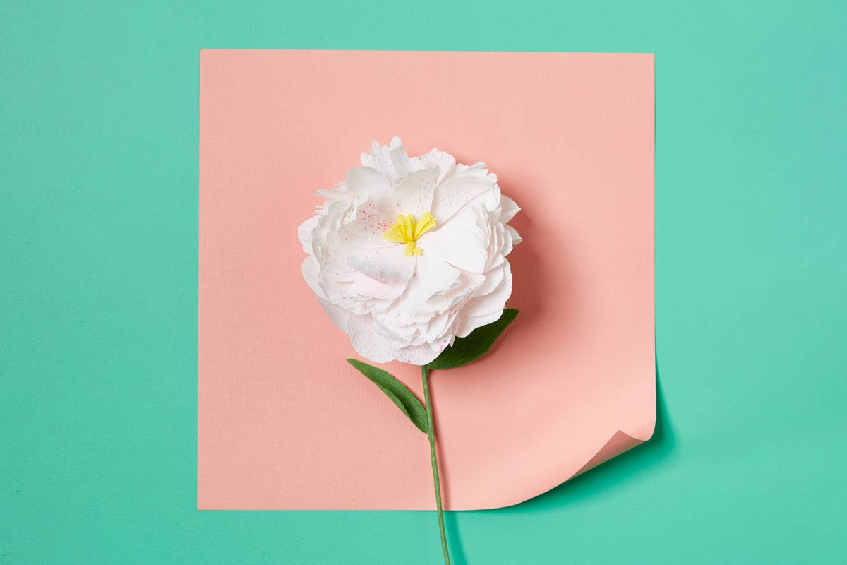 Buy Paper Flower Making Kit by Journey Of Something AU & EU - at Hamish + Grace