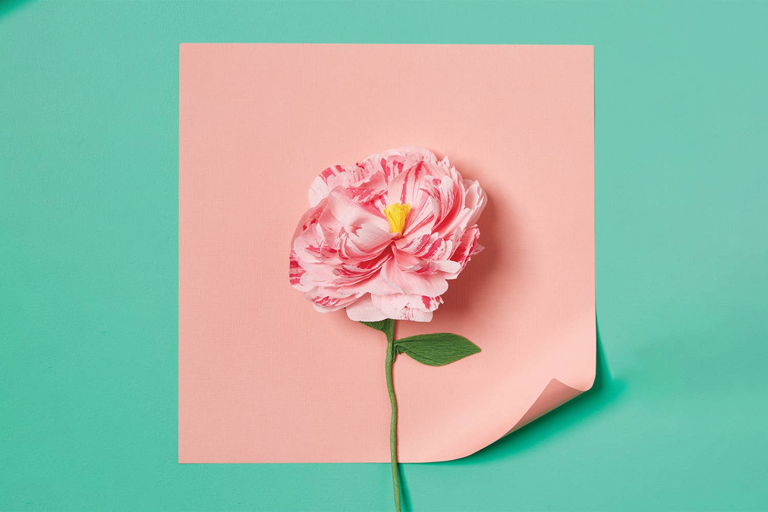 Buy Paper Flower Making Kit by Journey Of Something AU & EU - at Hamish + Grace