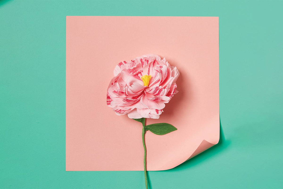 Buy Paper Flower Making Kit by Journey Of Something AU & EU - at Hamish + Grace