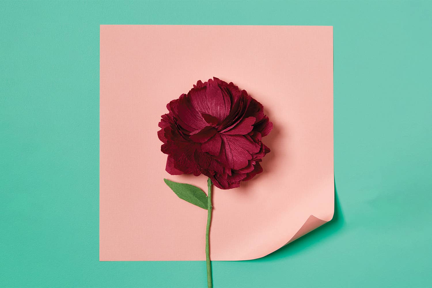 Buy Paper Flower Making Kit by Journey Of Something AU & EU - at Hamish + Grace