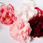 Buy Paper Flower Making Kit by Journey Of Something AU & EU - at Hamish + Grace