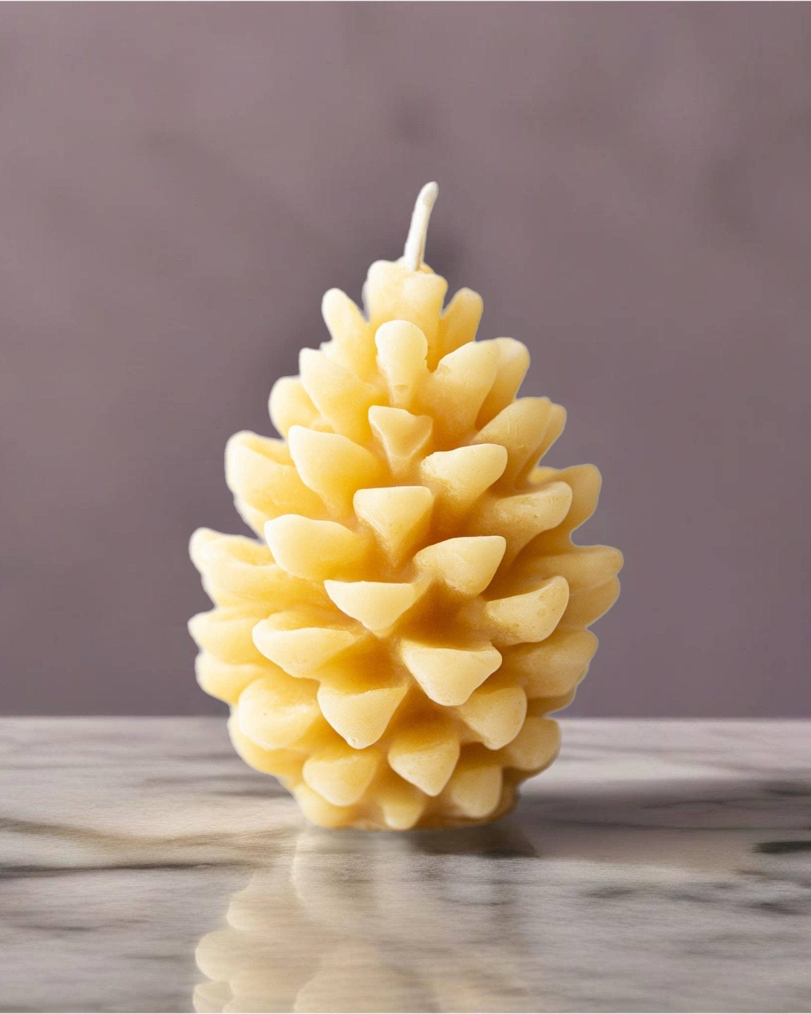 Serenes Beeswax Chandlery Homeware Beeswax Shaped Candle | Pinecone Design