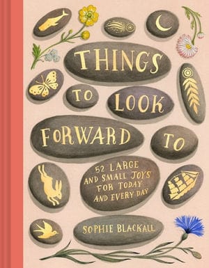 Buy Sophie Blackall - Things to Look Forward To by Hardie Grant - at Hamish + Grace