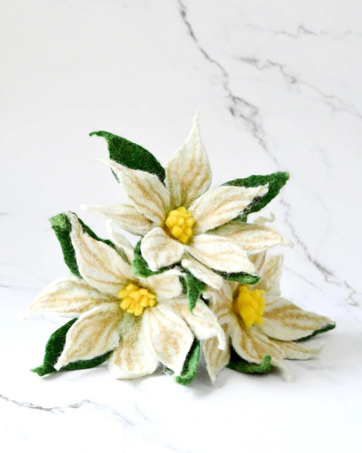 Buy Tara Treasures - Felt White Poinsettia Flowers (Set of 3 stems) by Tara Teasures - at Hamish + Grace