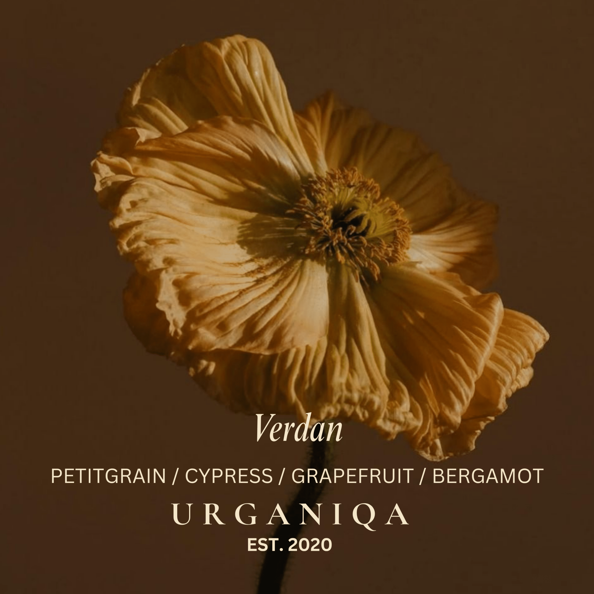 Buy The Essential Balm Refill: Verdan by Urganiqa - at Hamish + Grace