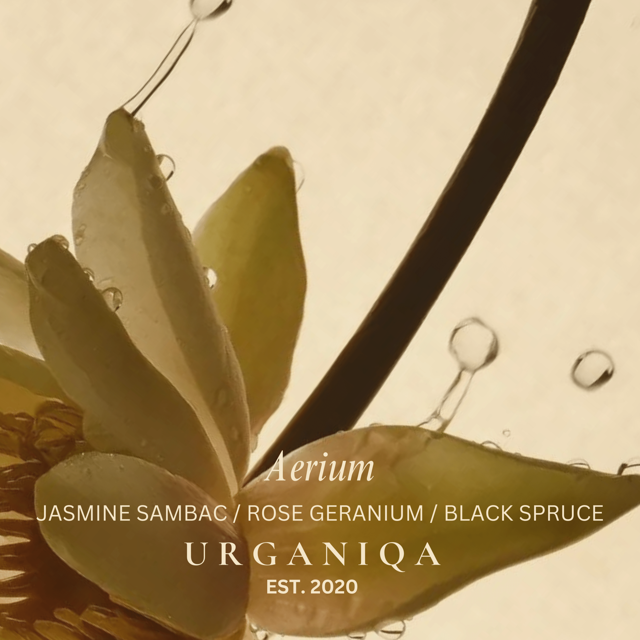 Buy The Essential Balm Refill: Verdan by Urganiqa - at Hamish + Grace