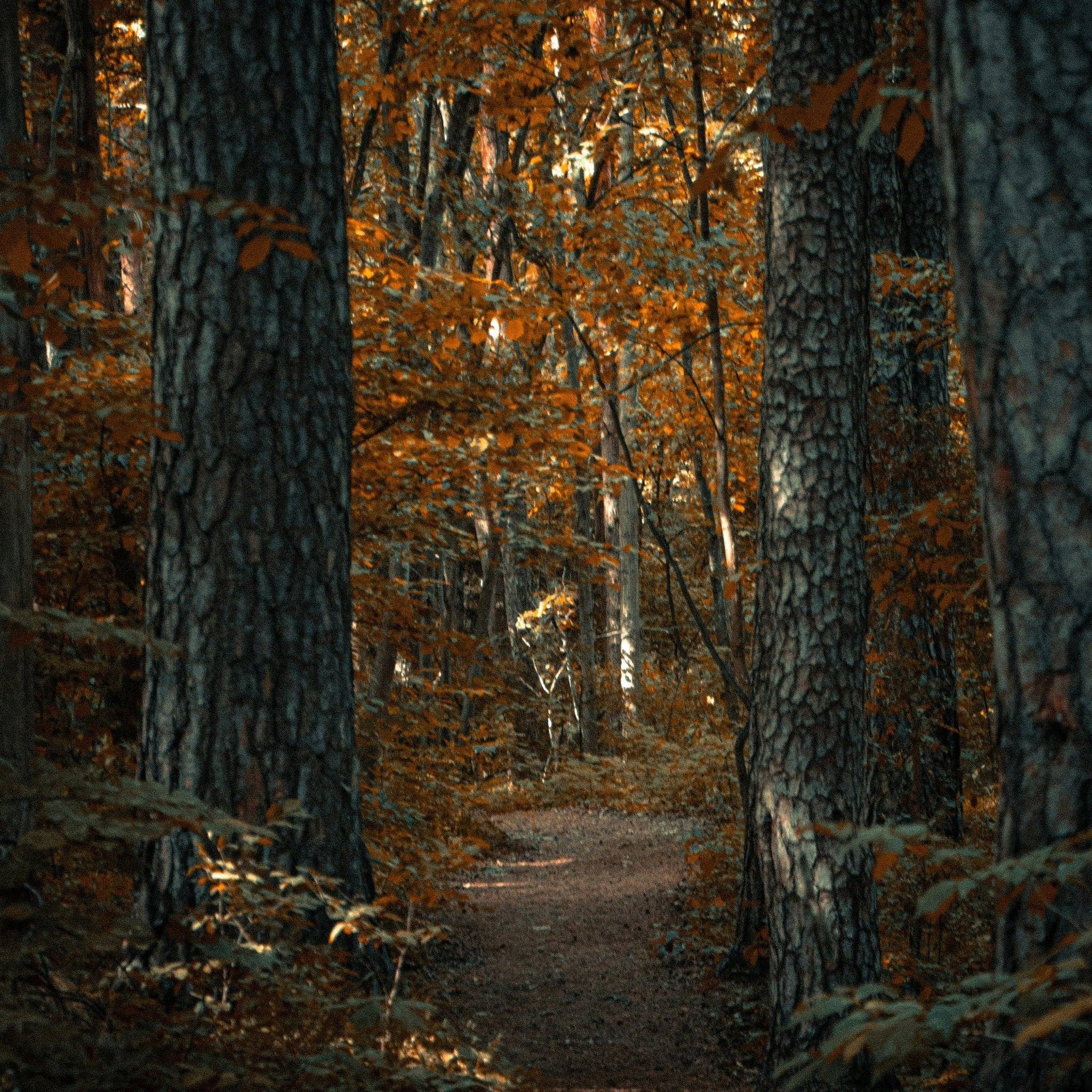 Three More Days Collection Homeware AUTUMN SKY: GARDENIA / BLACK CURRANT / YLANG-YLANG / PATCHOULI / TRUFFLE / WHITE MUSK ROOM SPRAY