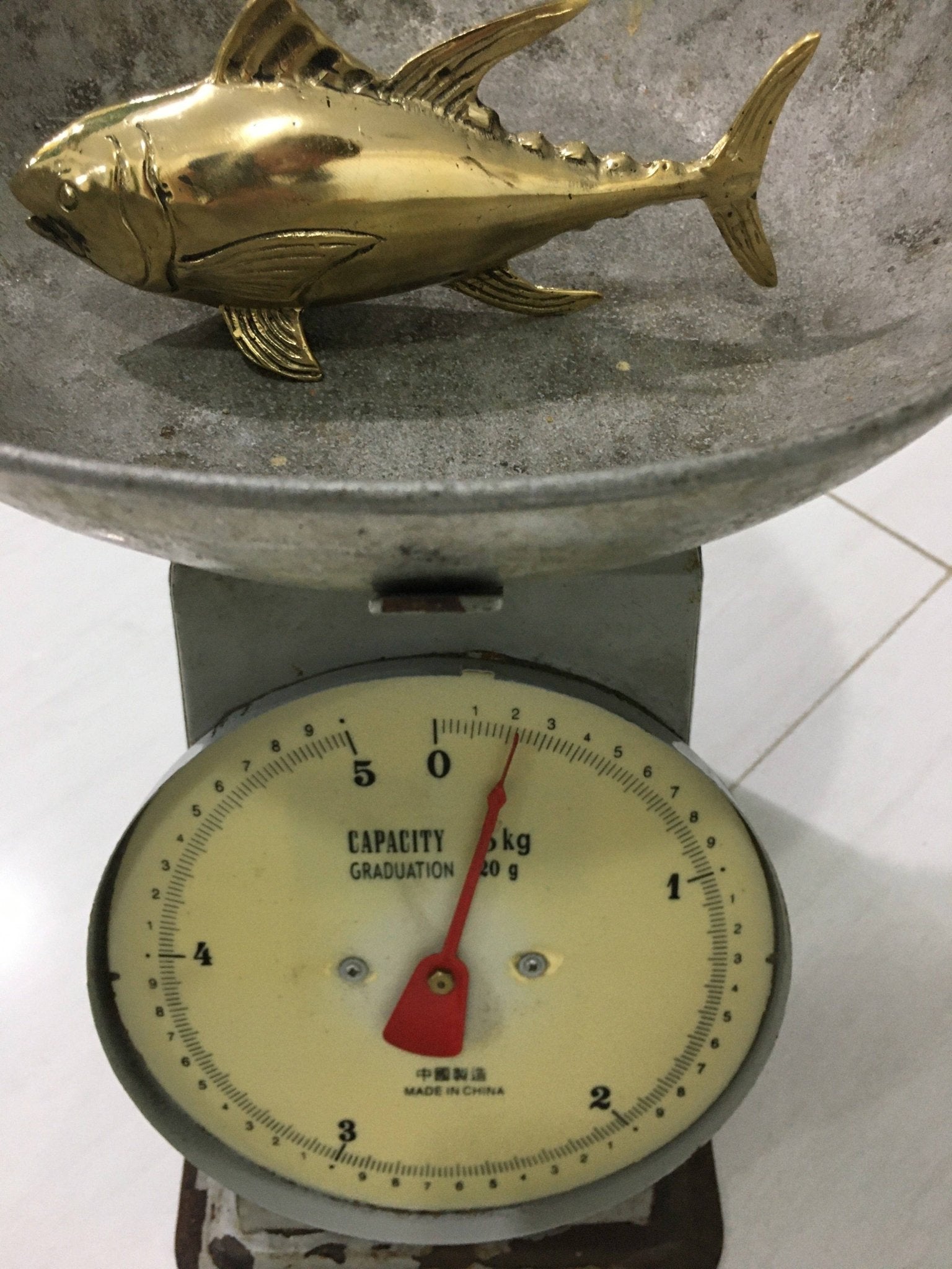 Buy Tuna Fish, 15cm, Bronze Handmade by Bronze Betty - at Hamish + Grace